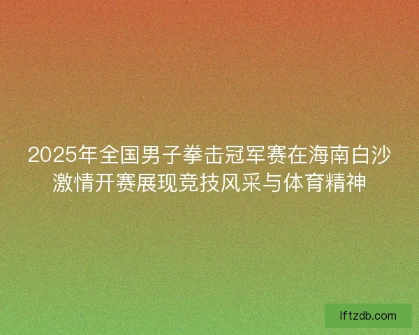 2025年全国男子拳击冠军赛在海南白沙激情开赛展现竞技风采与体育精神